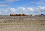 UP 8363 Westbound Intermodal